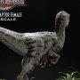 Velociraptor Female