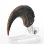 Velociraptor Foot Claw ECC Line