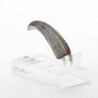 Velociraptor Hand Claw ECC Line