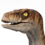 Jurassic Park: Velociraptor Male