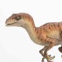 Velociraptor Male