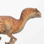 Velociraptor Male