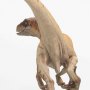 Velociraptor Male