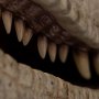 Velociraptor Male