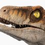 Velociraptor Male