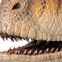 Velociraptor Male
