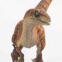 Velociraptor Male