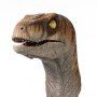 Velociraptor Male