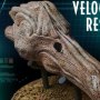 Jurassic Park 3: Velociraptor Male Bonus Edition