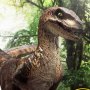 Velociraptor Open Mouth