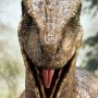 Velociraptor Open Mouth