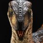 Velociraptor Open Mouth