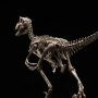 Velociraptor Skeleton Bronze