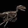 Velociraptor Skeleton Bronze