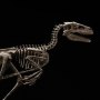 Velociraptor Skeleton Bronze