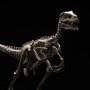 Velociraptor Skeleton Bronze