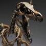 Velociraptor Skeleton