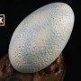 Jurassic Park: Velociraptor Egg