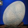 Velociraptor Egg