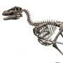 Jurassic Park: Velociraptor Skeleton Bronze Large