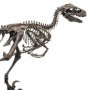 Velociraptor Skeleton Bronze Large