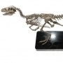 Velociraptor Skeleton Bronze Large