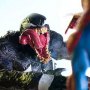 Venom Battle Diorama (Raphael Albuquerque)