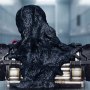Venom Symbiote