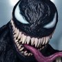 Venom Symbiote