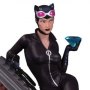 DC Comics: Rogues Gallery Catwoman