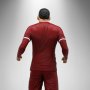 Virgil Van Dijk Liverpool