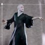 Voldemort Battle Diorama