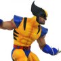 Vs. Wolverine