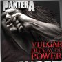 Vulgar Display Of Power 3D Vinyl