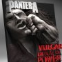 Vulgar Display Of Power 3D Vinyl