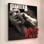 Vulgar Display Of Power 3D Vinyl