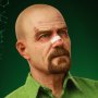 Walter White (Toxic White)