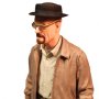 Walter White (Summer 2014)