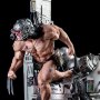 Marvel: Weapon X Legacy