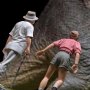 Welcome To Jurassic Park Special Edition