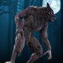 Werewolf (Pop Culture Shock)