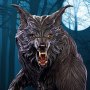 Werewolf (Pop Culture Shock)