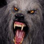 Werewolf Epic Series