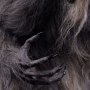 Werewolf Epic Series