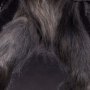 Werewolf Epic Series