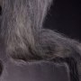 Werewolf Epic Series