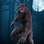 Werewolf (Pop Culture Shock)
