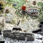 Westeros 3D Puzzle