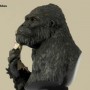 King Kong: Kong With Ann