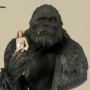 Kong With Ann (studio)